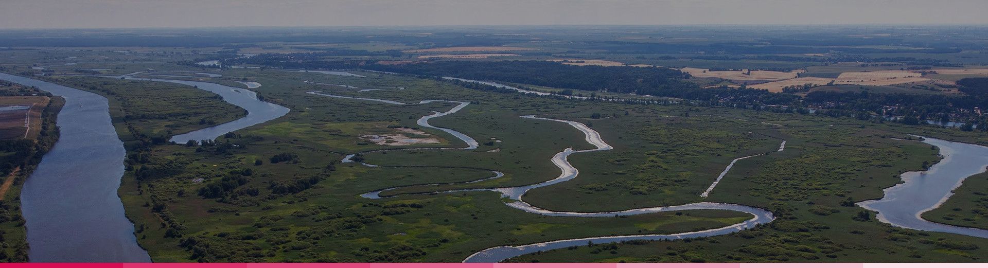 Widok z góry międzyodrza